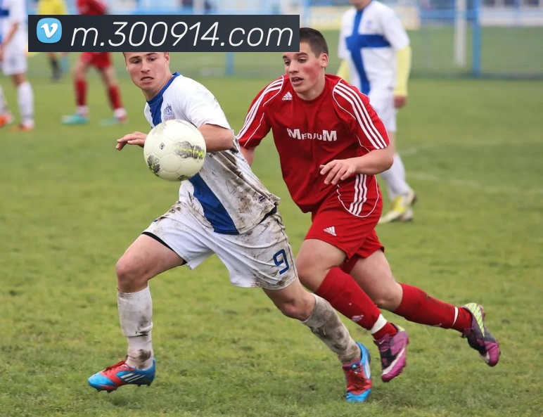 平台使命图